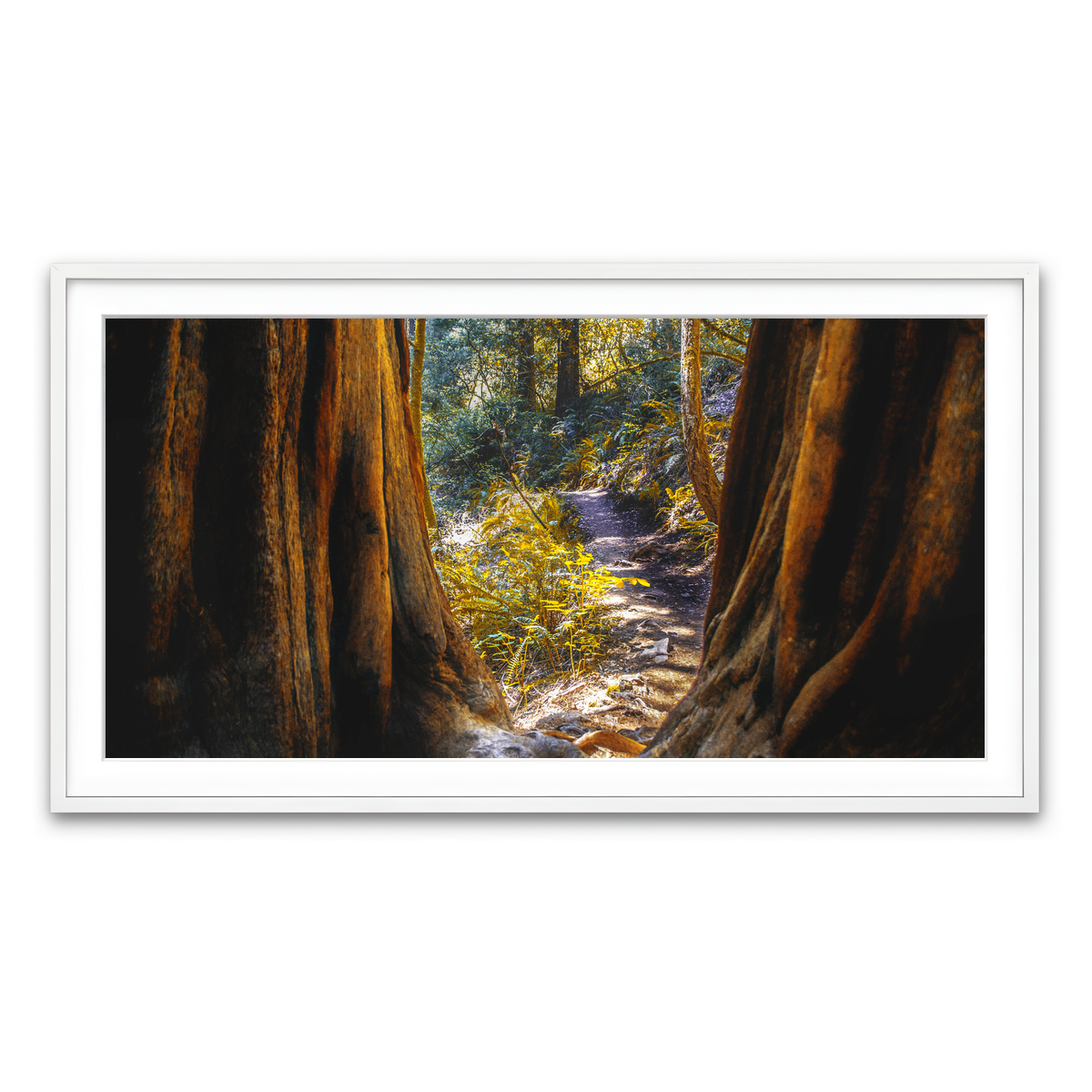 Framed Print 2x1 White