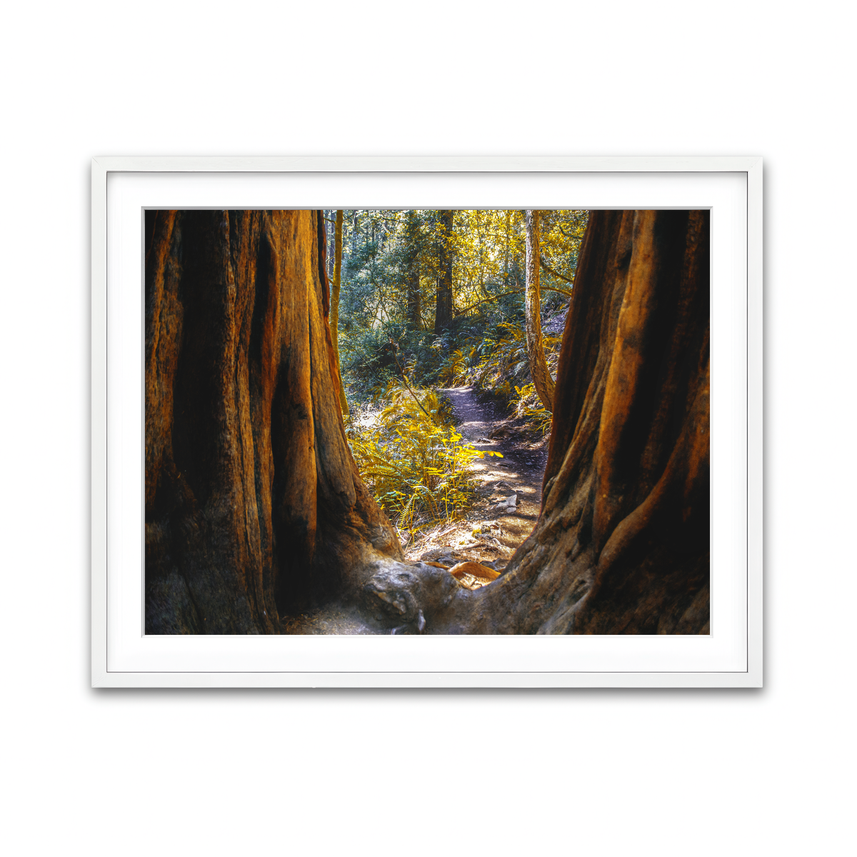 Framed Print 4x3 White