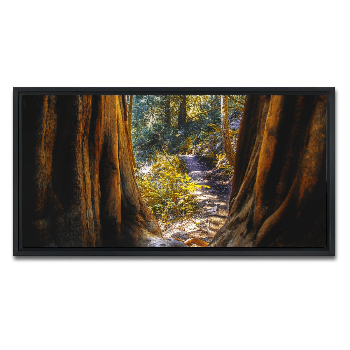 AUTO-MOCKUP WHITE | Muir Woods | 1 Piece | Black Framed Canvas | group=2x1