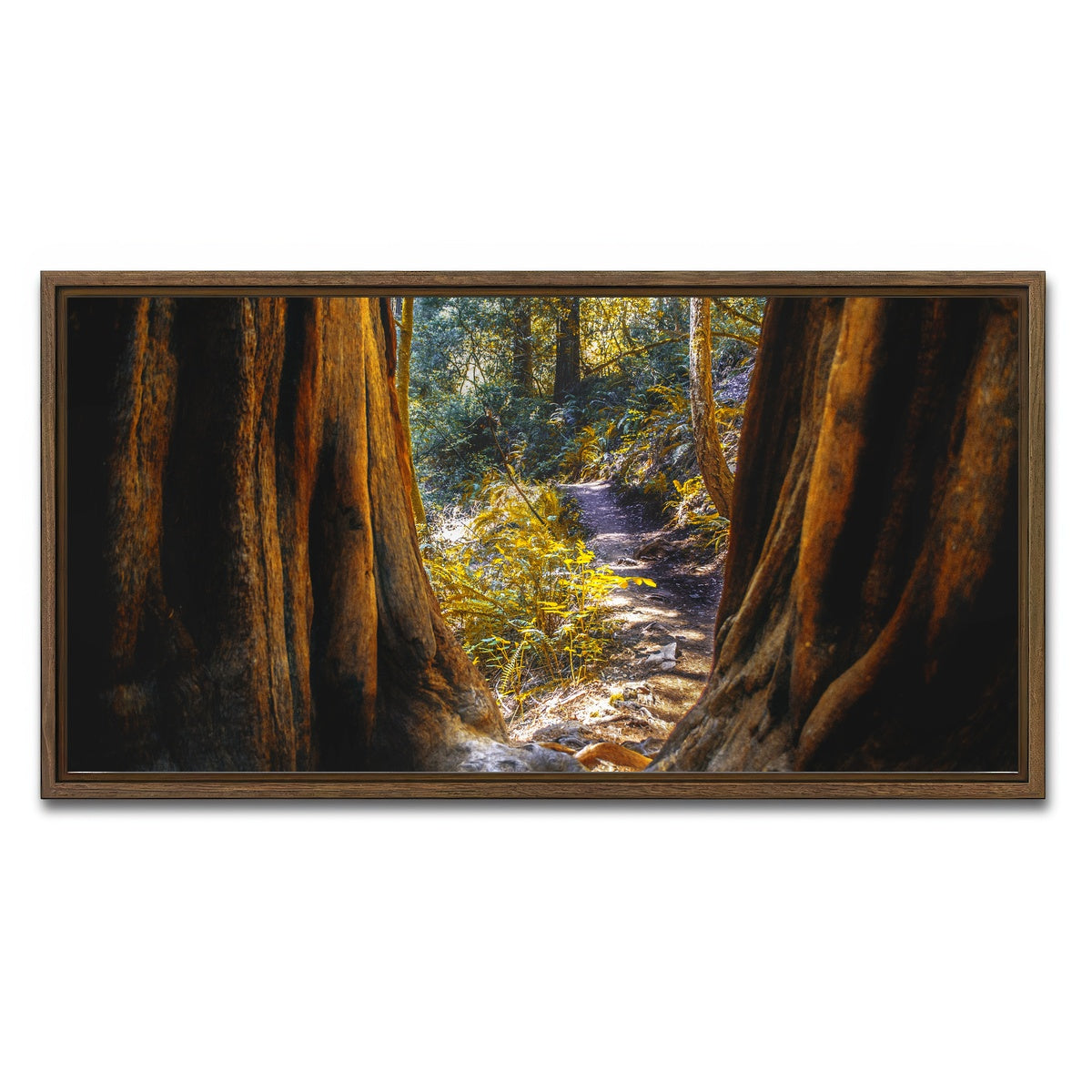 AUTO-MOCKUP WHITE | Muir Woods | 1 Piece | Walnut Framed Canvas | group=2x1