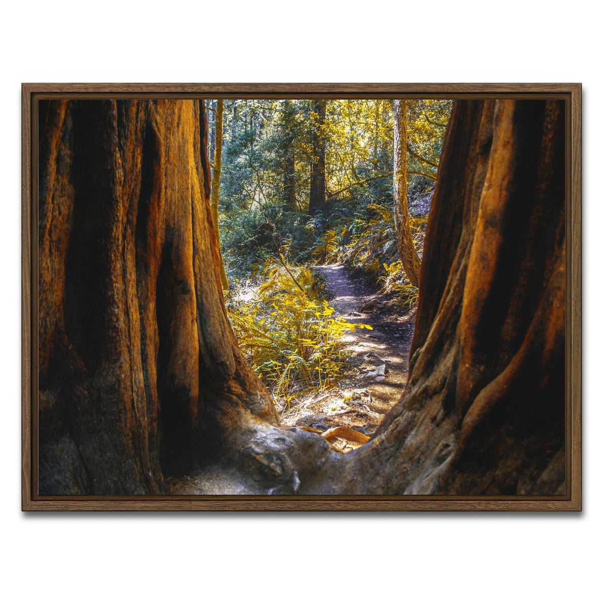 AUTO-MOCKUP WHITE | Muir Woods | 1 Piece | Walnut Framed Canvas | group=4x3