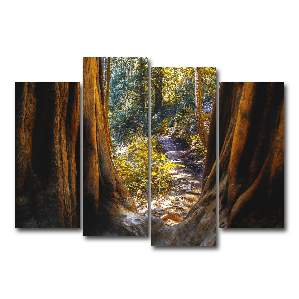 AUTO-MOCKUP WHITE | Muir Woods | 4 Piece | Gallery Wrap Canvas | group=4_normal