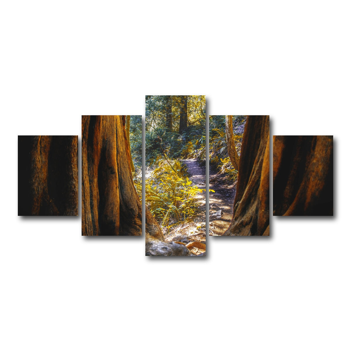 AUTO-MOCKUP WHITE | Muir Woods | 5 Piece | Gallery Wrap Canvas | group=5_short