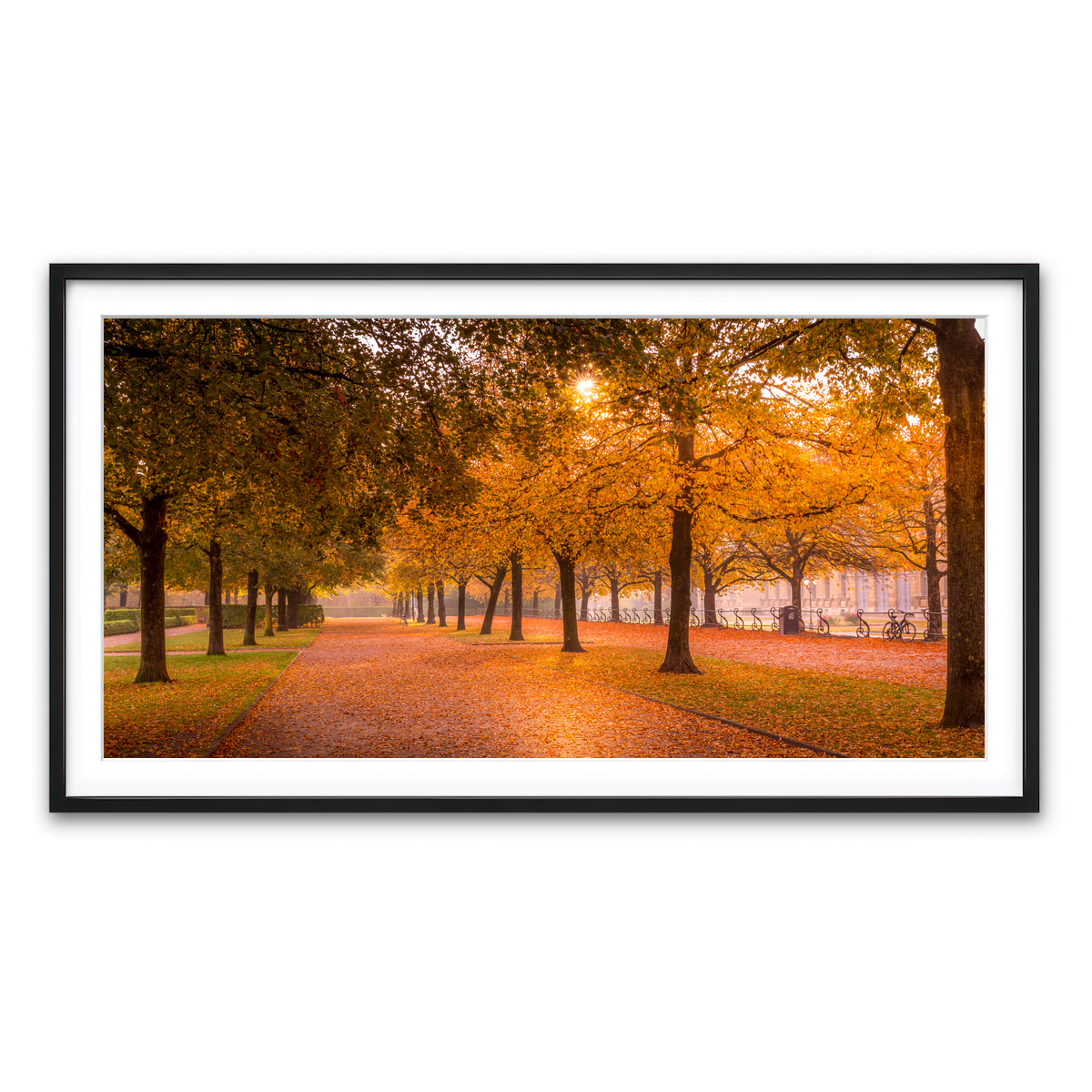 Framed Print 2x1 Black