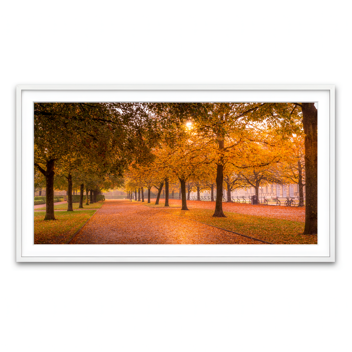 Framed Print 2x1 White