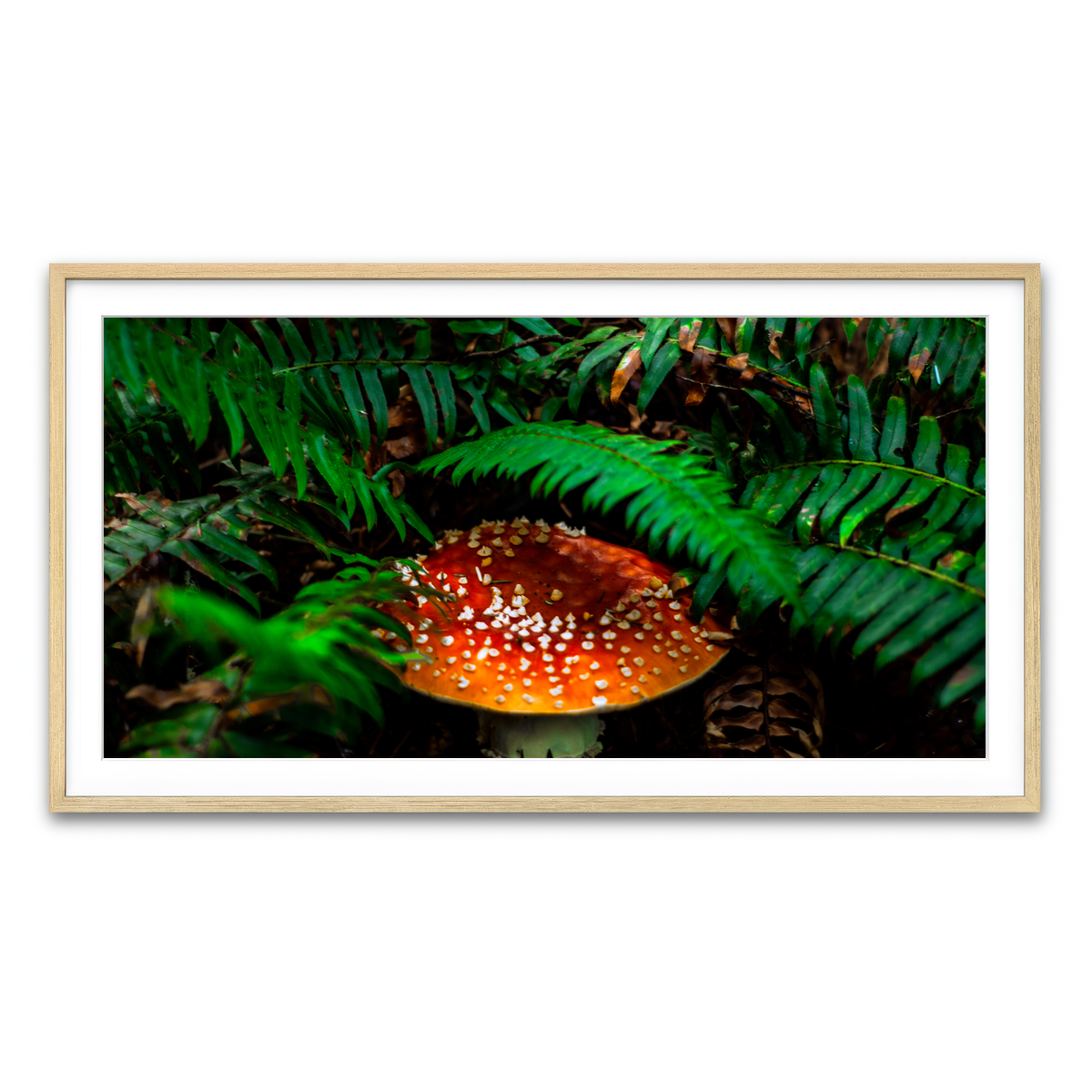 Framed Print 2x1 Natural