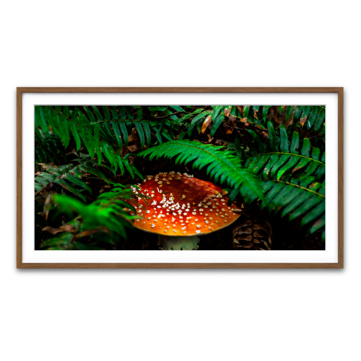 Framed Print 2x1 Walnut
