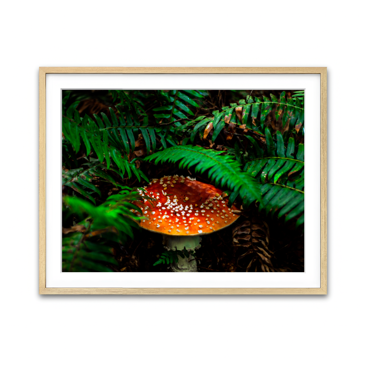 Framed Print 4x3 Natural