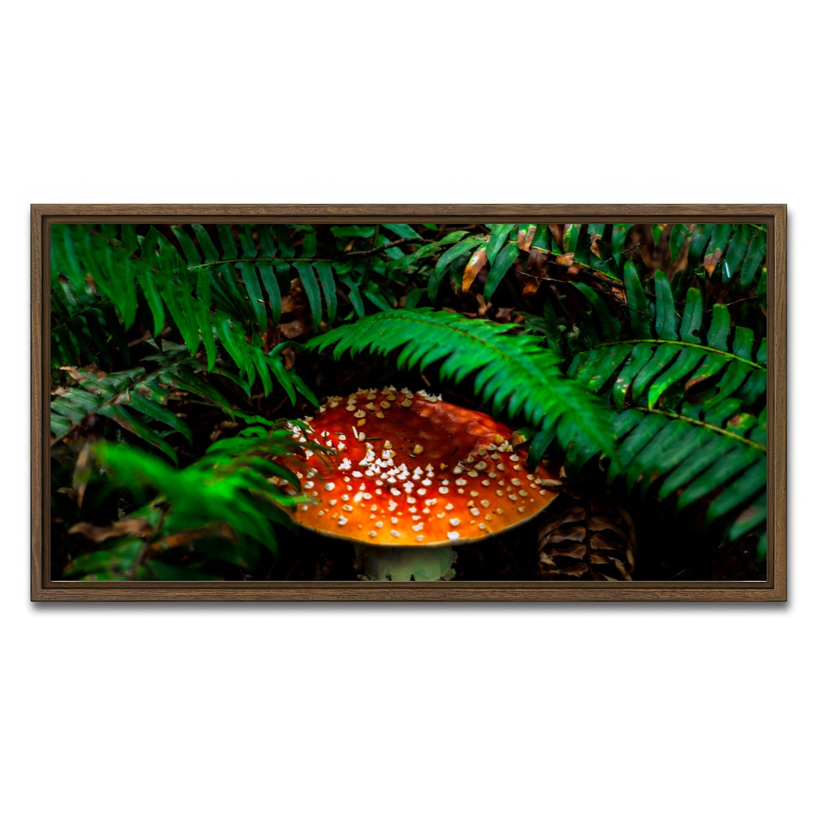 AUTO-MOCKUP WHITE | Mushroom and Ferns | 1 Piece | Walnut Framed Canvas | group=2x1