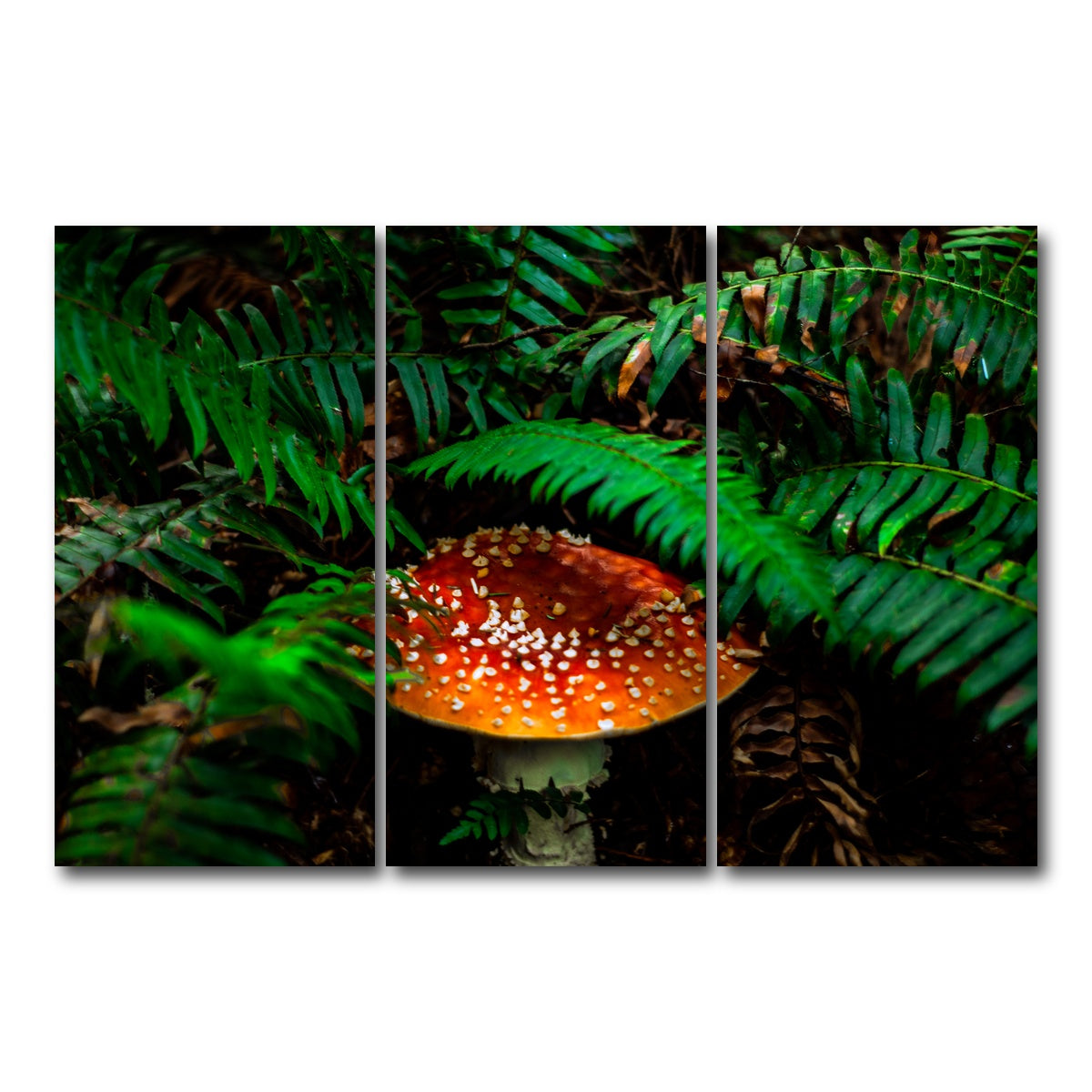 AUTO-MOCKUP WHITE | Mushroom and Ferns | 3 Piece | Gallery Wrap Canvas | group=12x24
