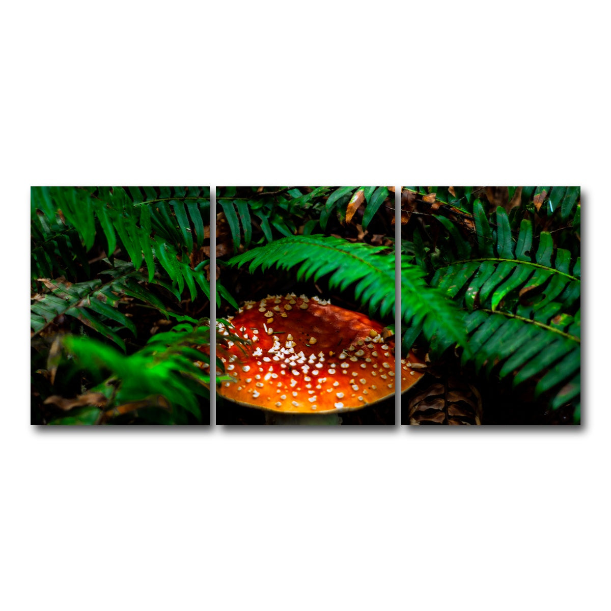 AUTO-MOCKUP WHITE | Mushroom and Ferns | 3 Piece | Gallery Wrap Canvas | group=18x24