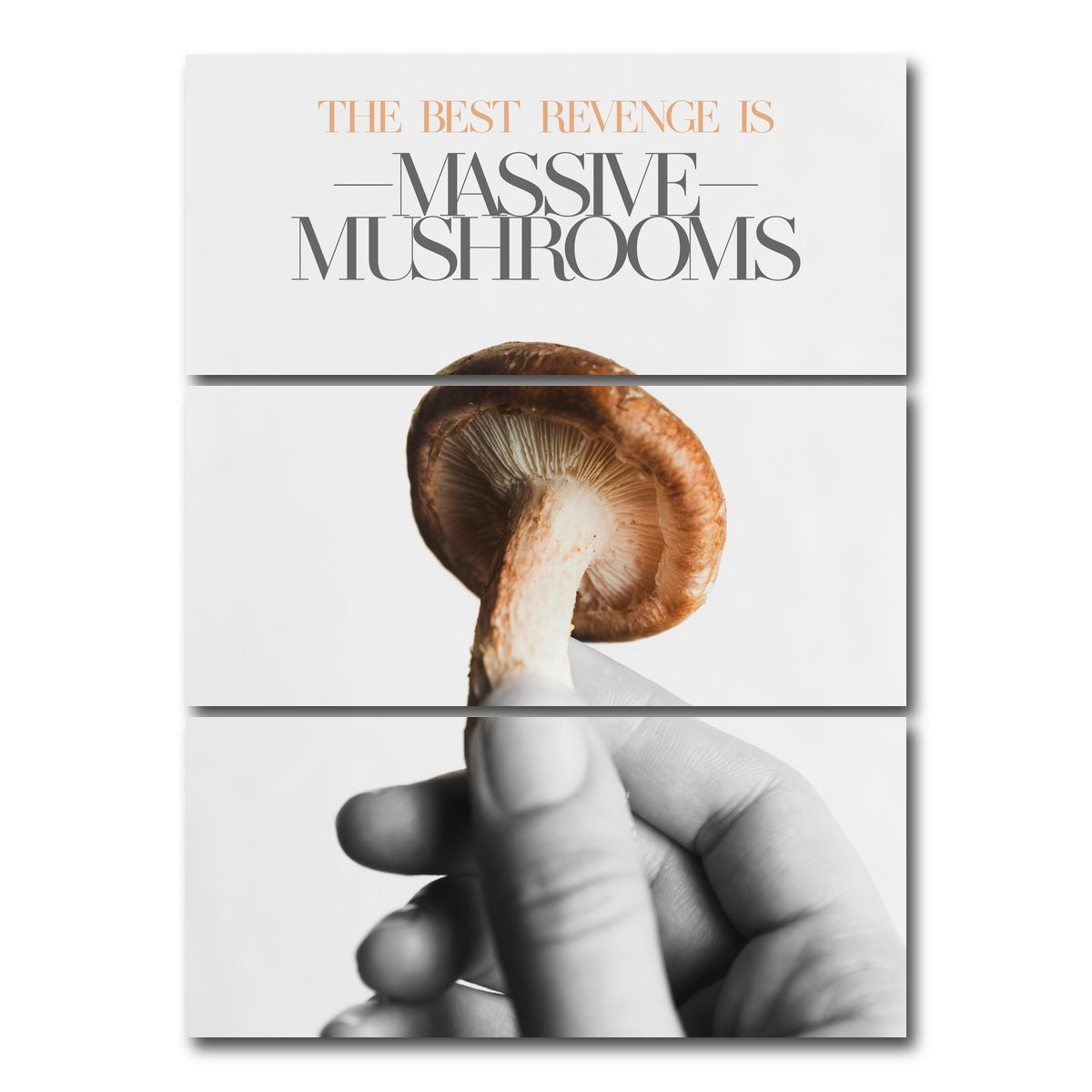 AUTO-MOCKUP WHITE | Mushroom art | 3 Piece | Gallery Wrap Canvas | group=8x18_stacked
