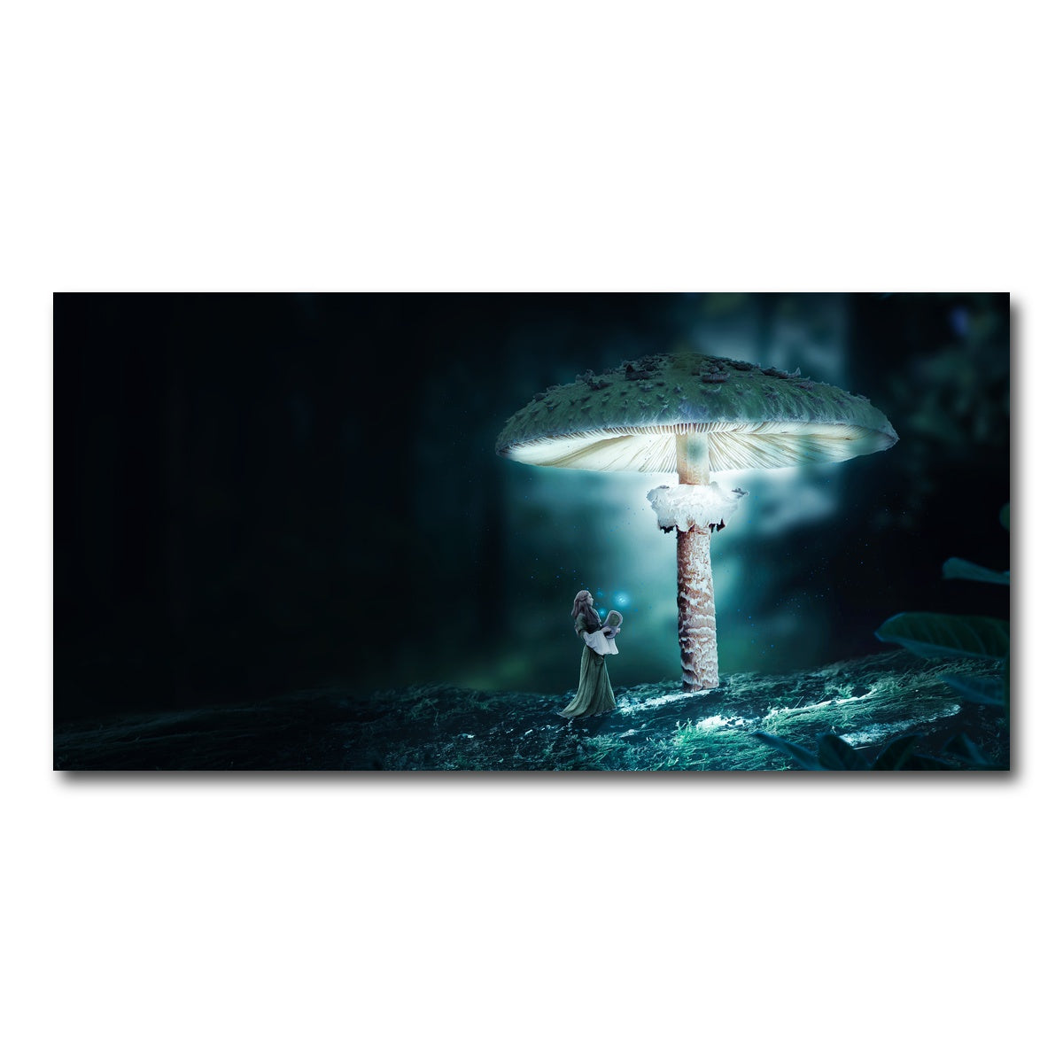 AUTO-MOCKUP WHITE | Mushrooms | 1 Piece | Gallery Wrap Canvas | group=2x1