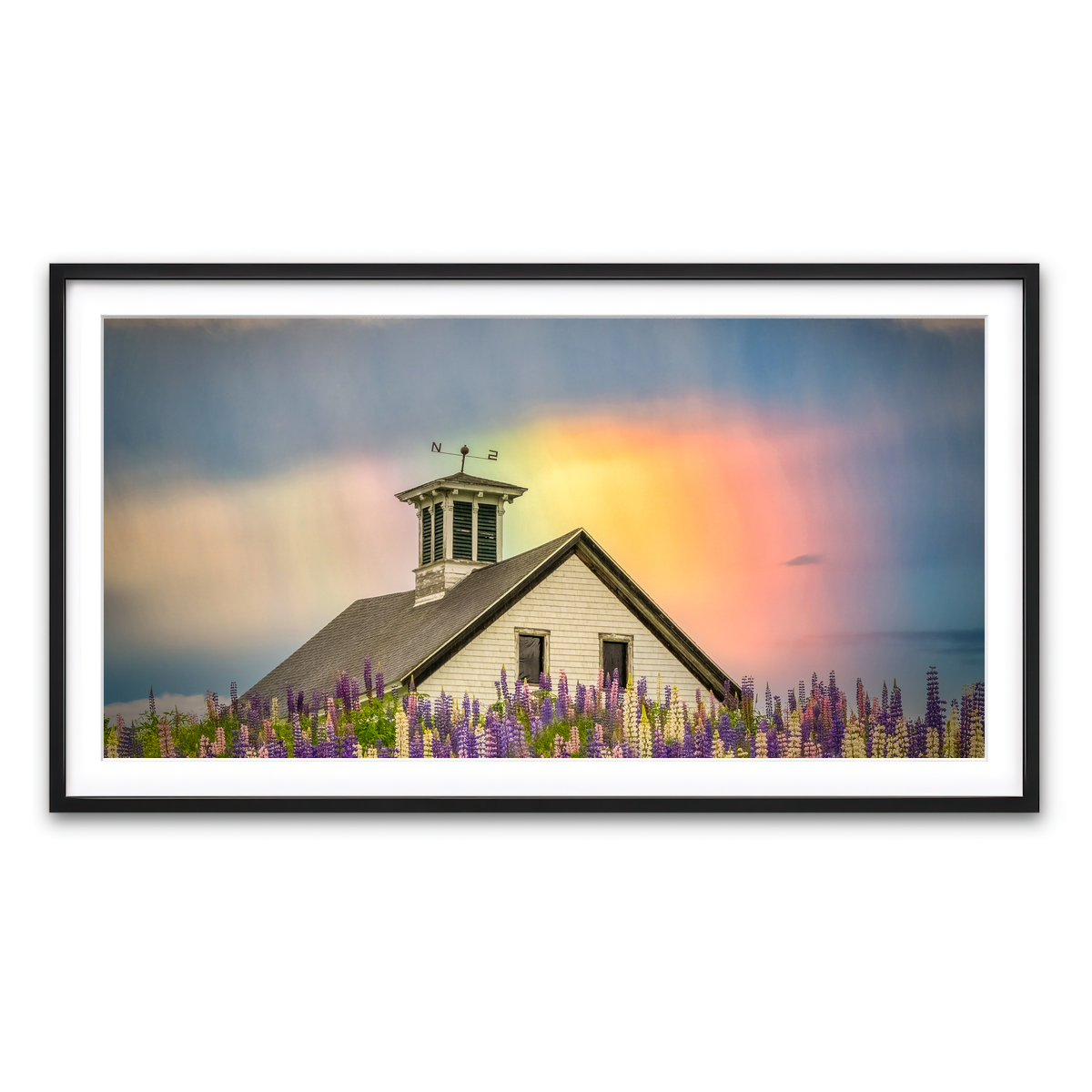 Framed Print 2x1 Black