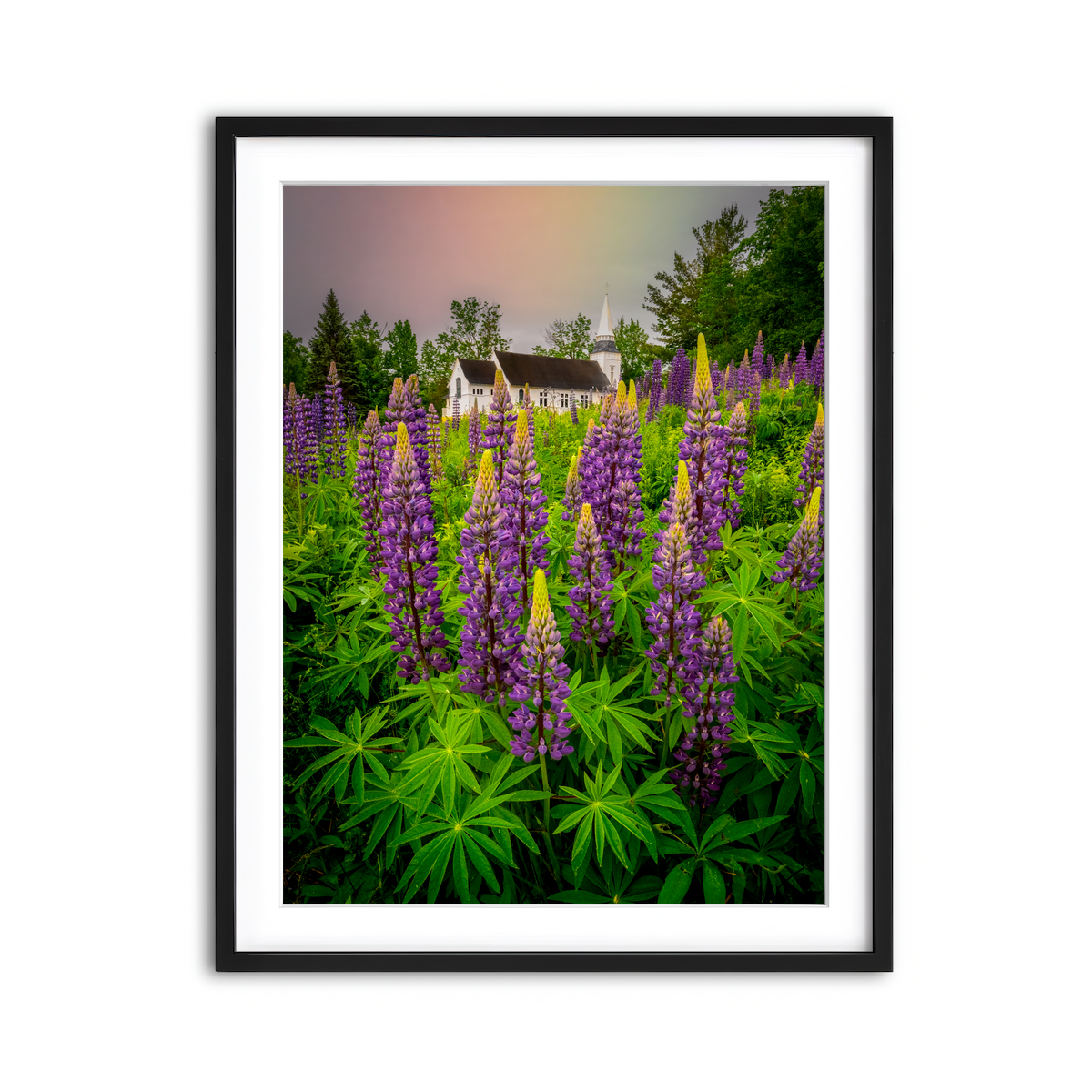 Framed Print 3x4 Black