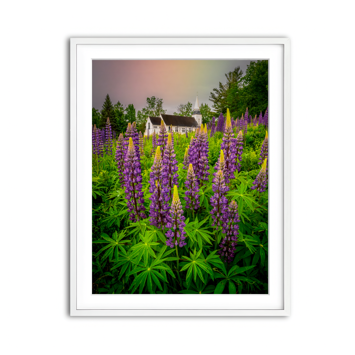 Framed Print 3x4 White