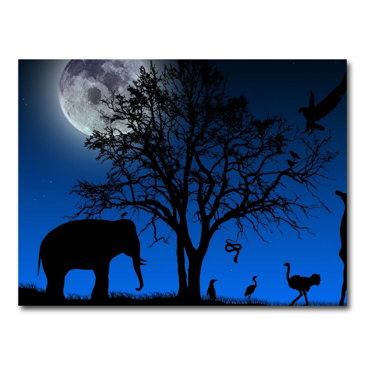 AUTO-MOCKUP WHITE | Nights in Africa Wall Art | 1 Piece | Gallery Wrapped | group=4x3