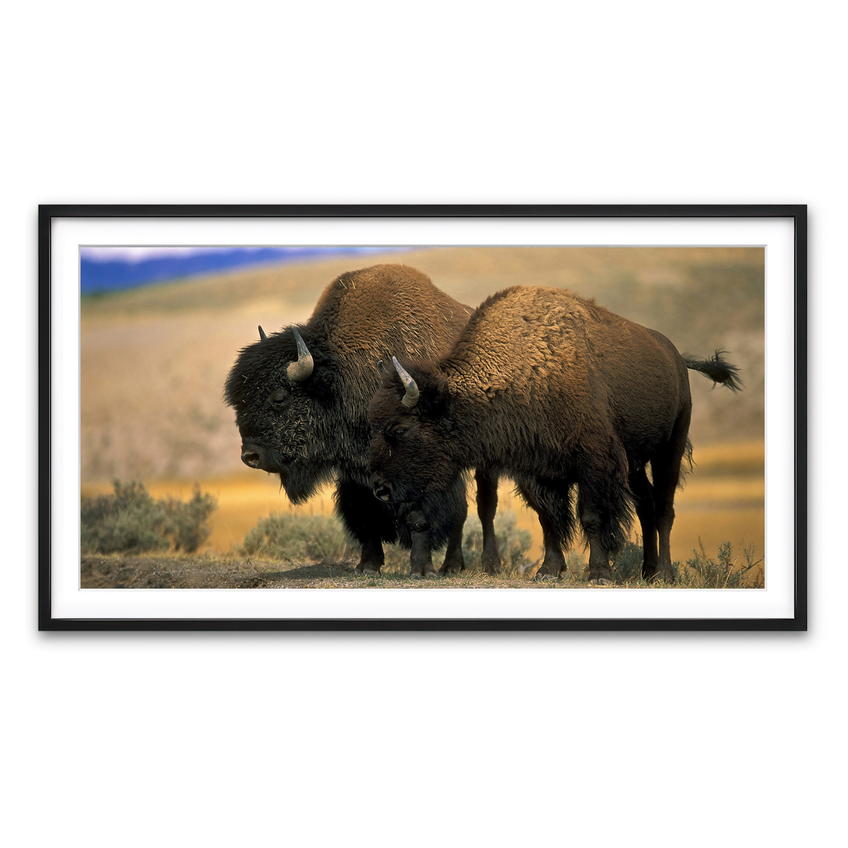Framed Print 2x1 Black