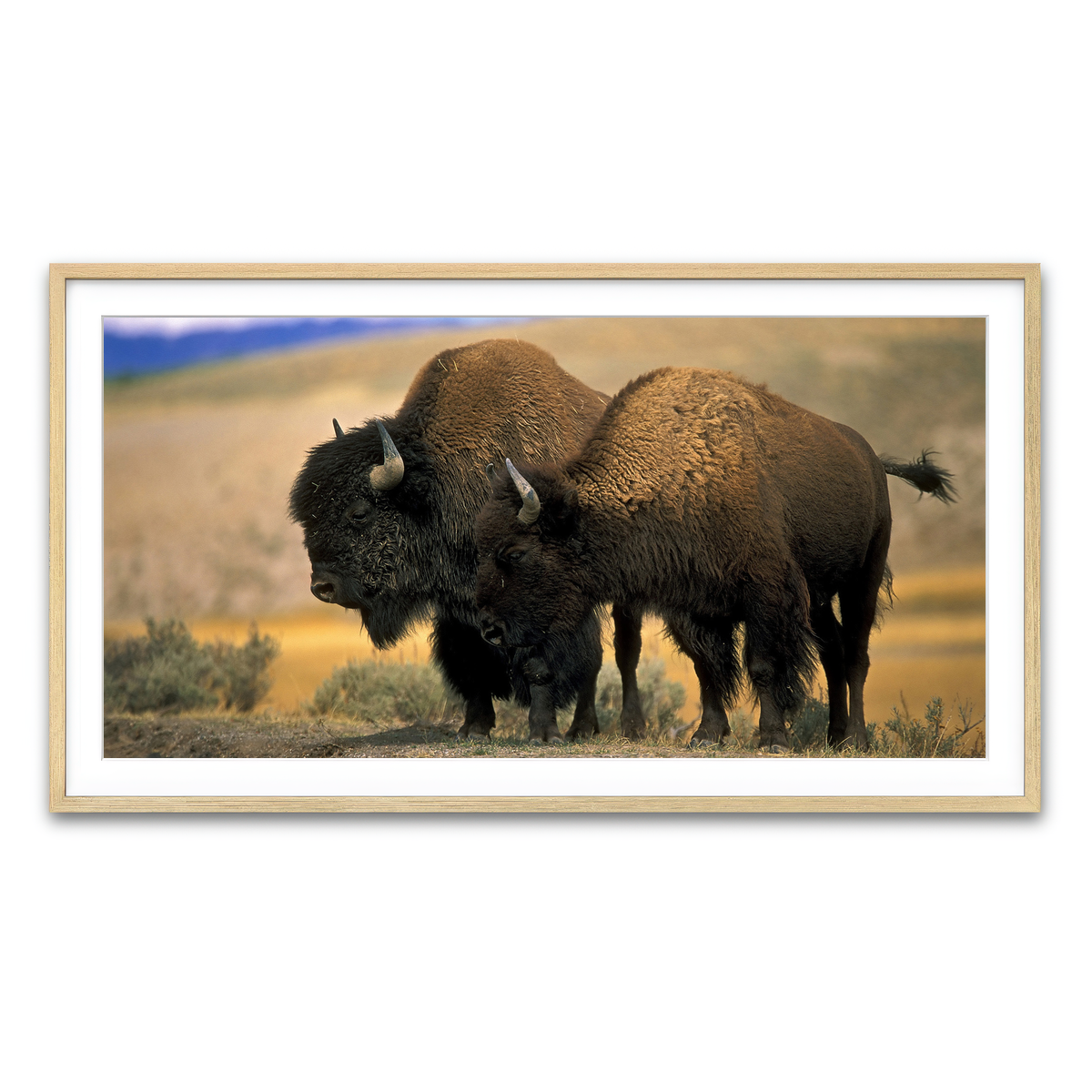 Framed Print 2x1 Natural