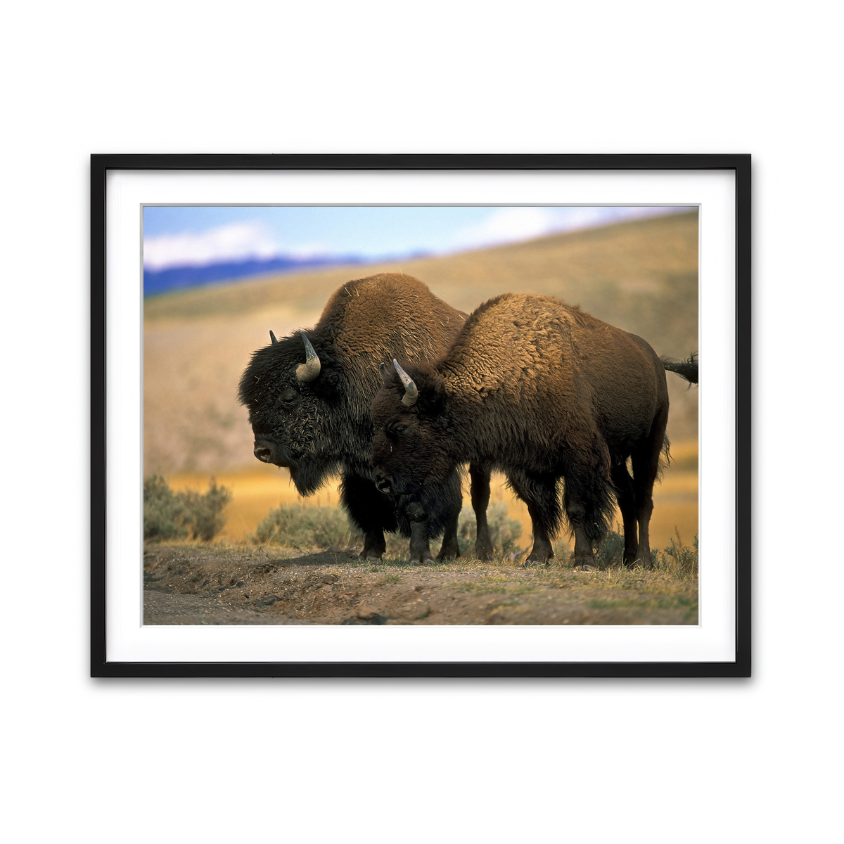 Framed Print 4x3 Black
