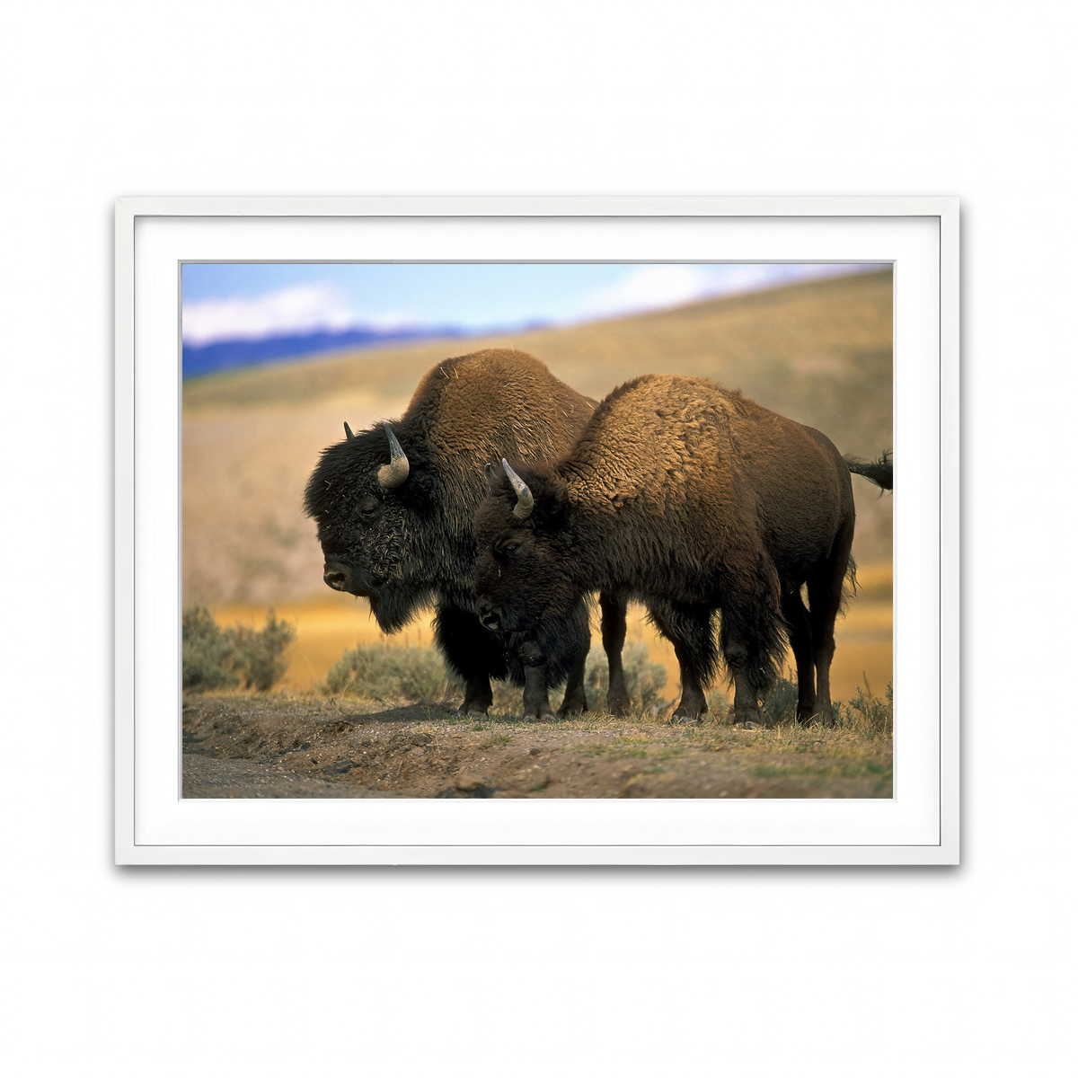 Framed Print 4x3 White