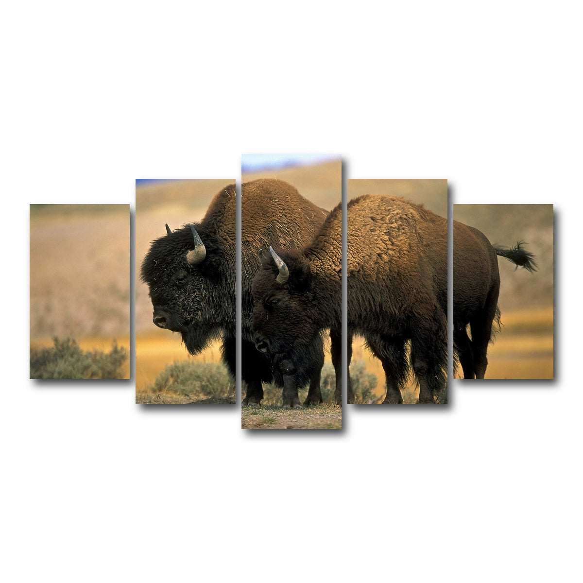 AUTO-MOCKUP WHITE | North American Buffalo | 5 Piece | Gallery Wrap Canvas | group=5_normal