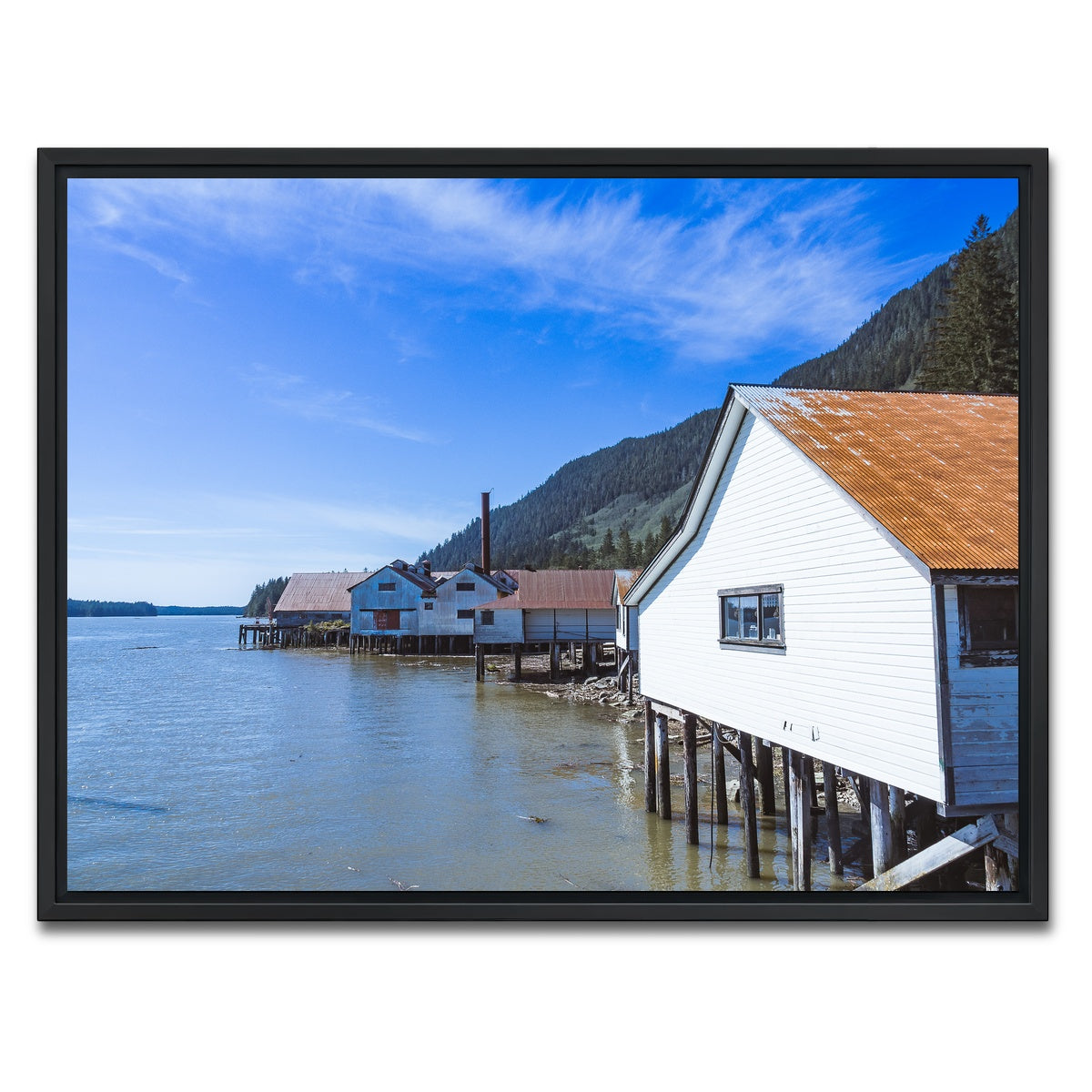 AUTO-MOCKUP WHITE | Northern BC Cannary | 1 Piece | Black Framed Canvas | group=4x3