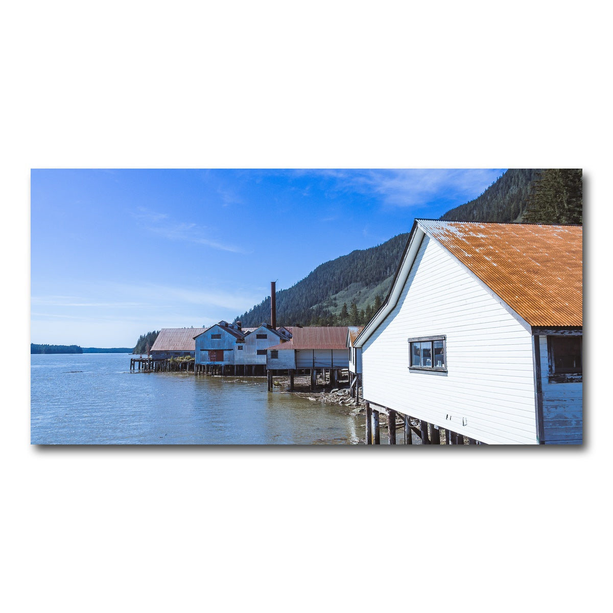 AUTO-MOCKUP WHITE | Northern BC Cannary | 1 Piece | Gallery Wrap Canvas | group=2x1