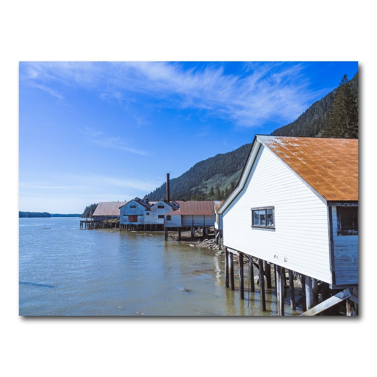 AUTO-MOCKUP WHITE | Northern BC Cannary | 1 Piece | Gallery Wrap Canvas | group=4x3