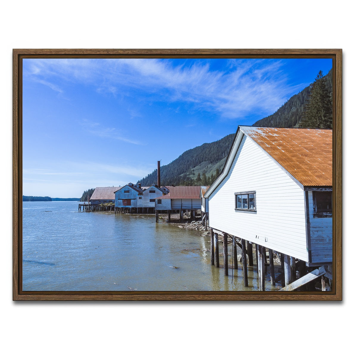 AUTO-MOCKUP WHITE | Northern BC Cannary | 1 Piece | Walnut Framed Canvas | group=4x3