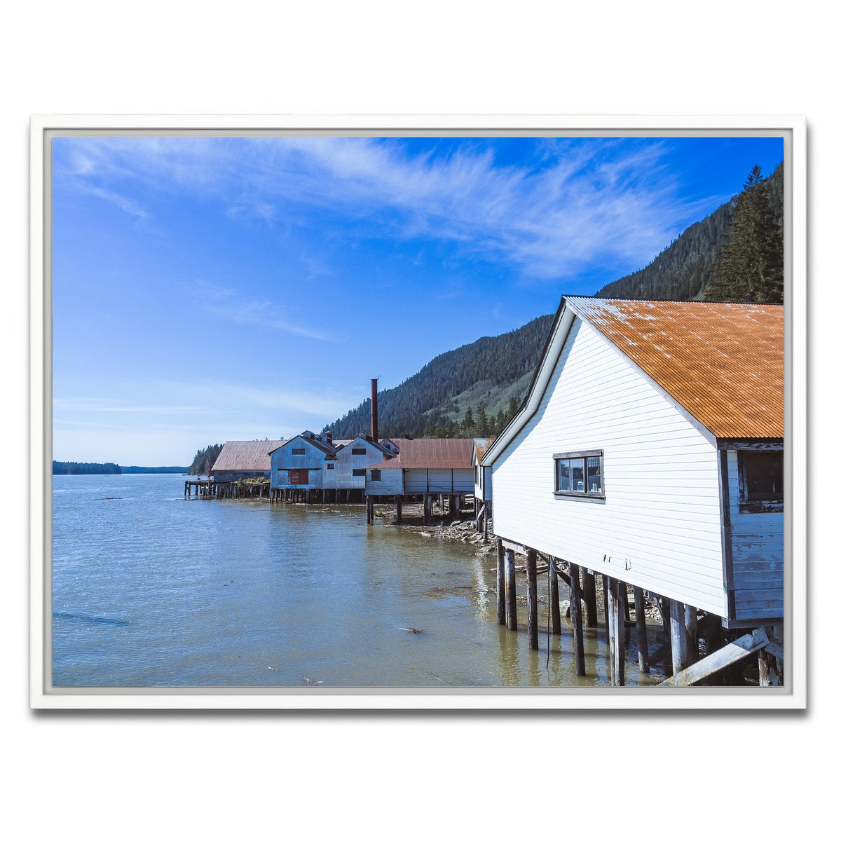 AUTO-MOCKUP WHITE | Northern BC Cannary | 1 Piece | White Framed Canvas | group=4x3