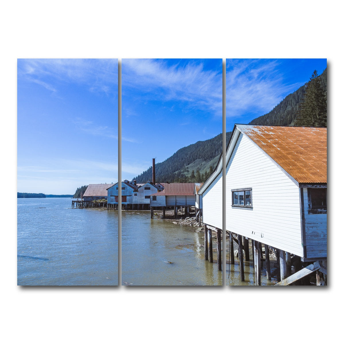 AUTO-MOCKUP WHITE | Northern BC Cannary | 3 Piece | Gallery Wrap Canvas | group=8x18