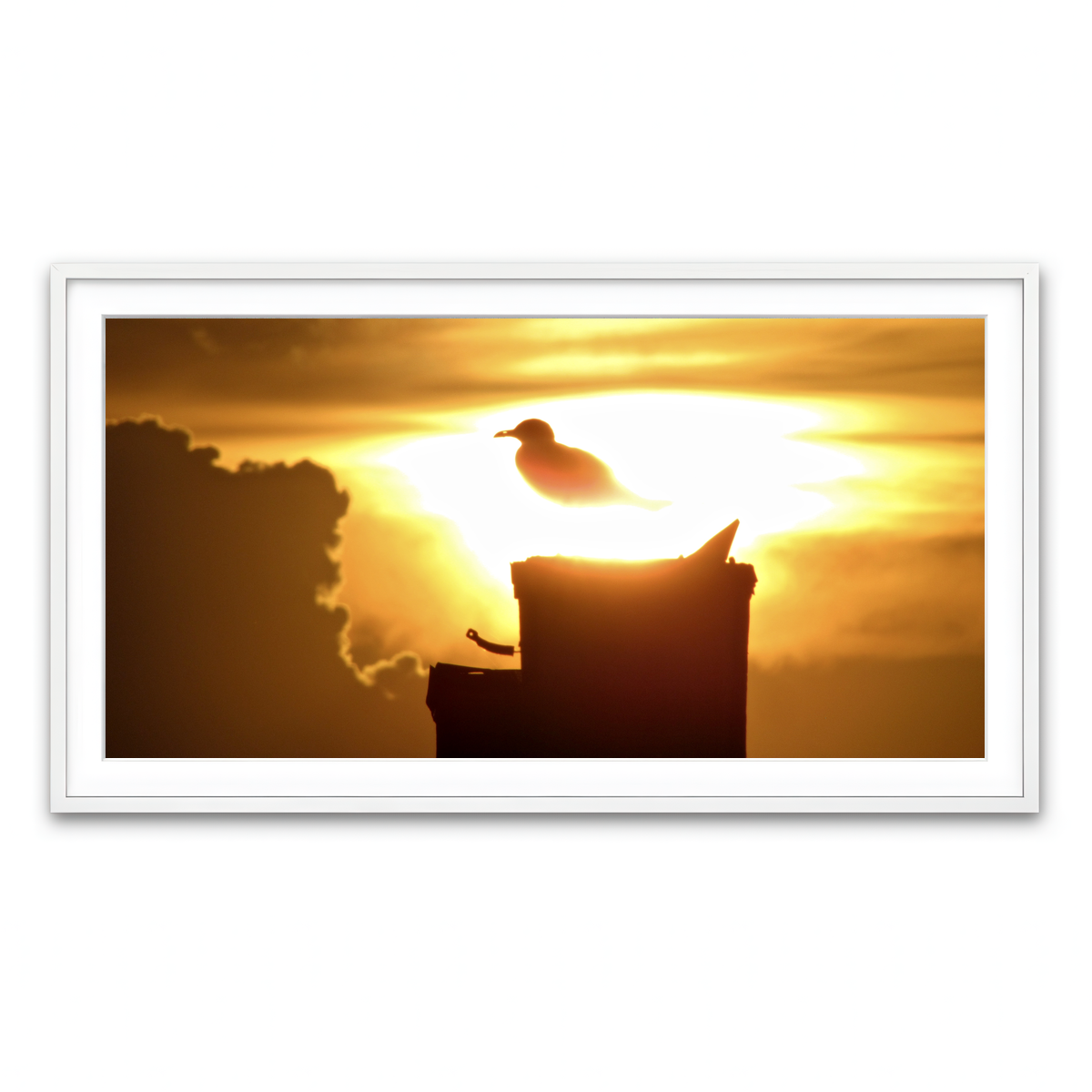 Framed Print 2x1 White