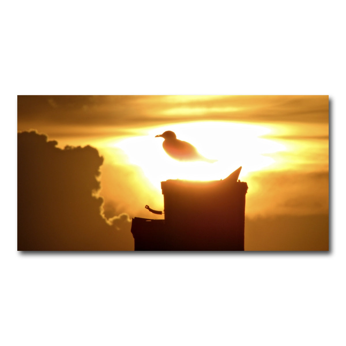 AUTO-MOCKUP WHITE | Nuclear Seagull | 1 Piece | Gallery Wrap Canvas | group=2x1