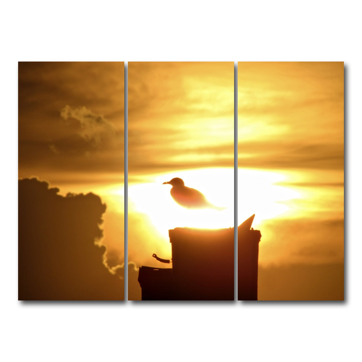 AUTO-MOCKUP WHITE | Nuclear Seagull | 3 Piece | Gallery Wrap Canvas | group=8x18
