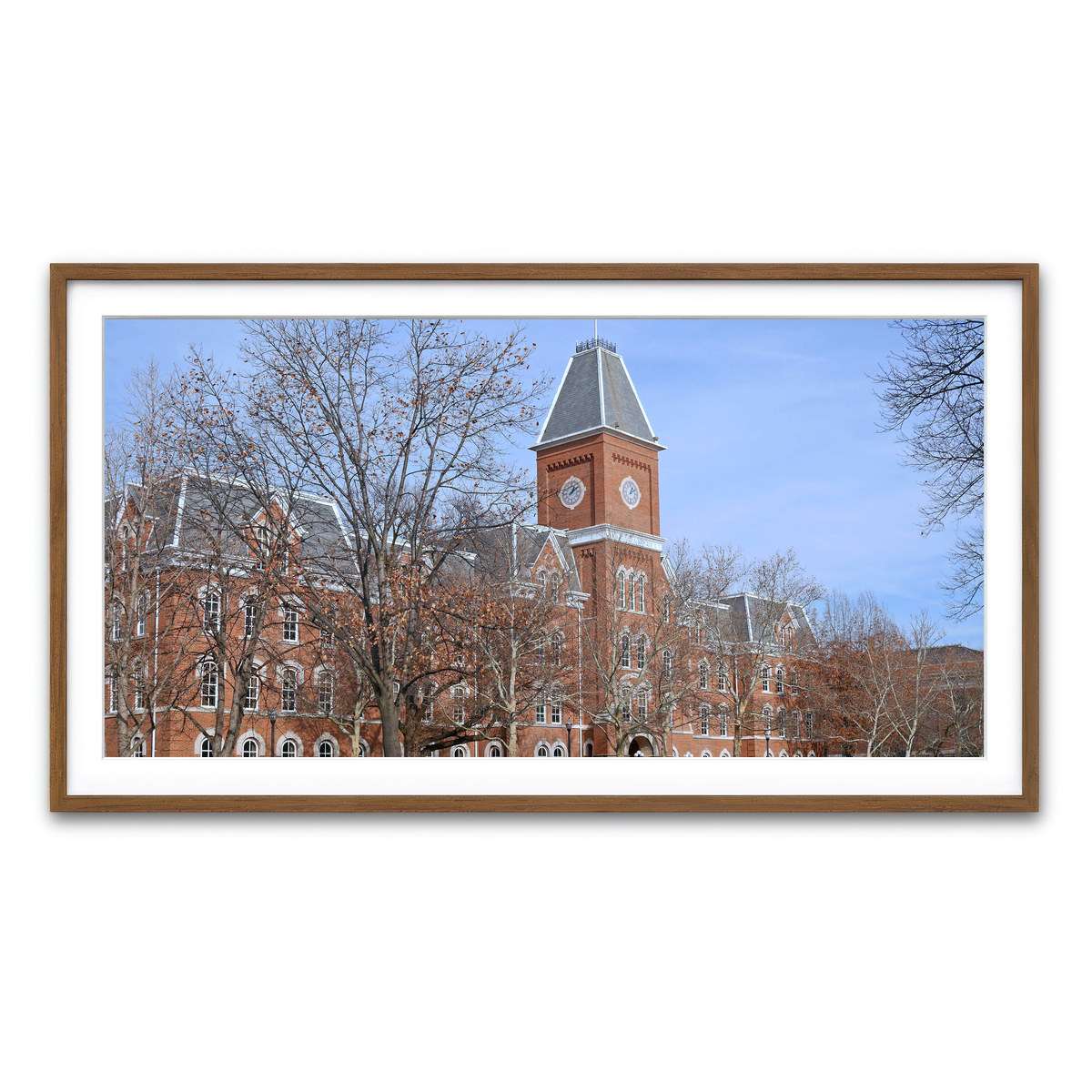 Framed Print 2x1 Walnut