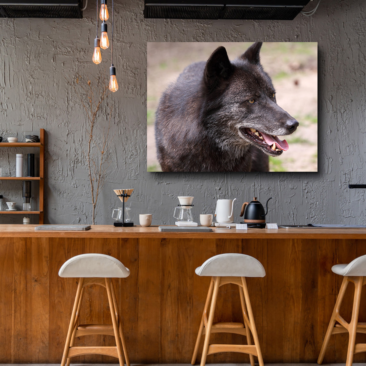 Older Black Wolf Wall Art