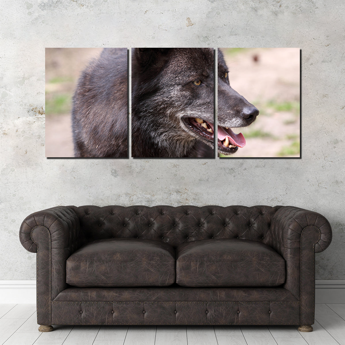 Older Black Wolf Wall Art