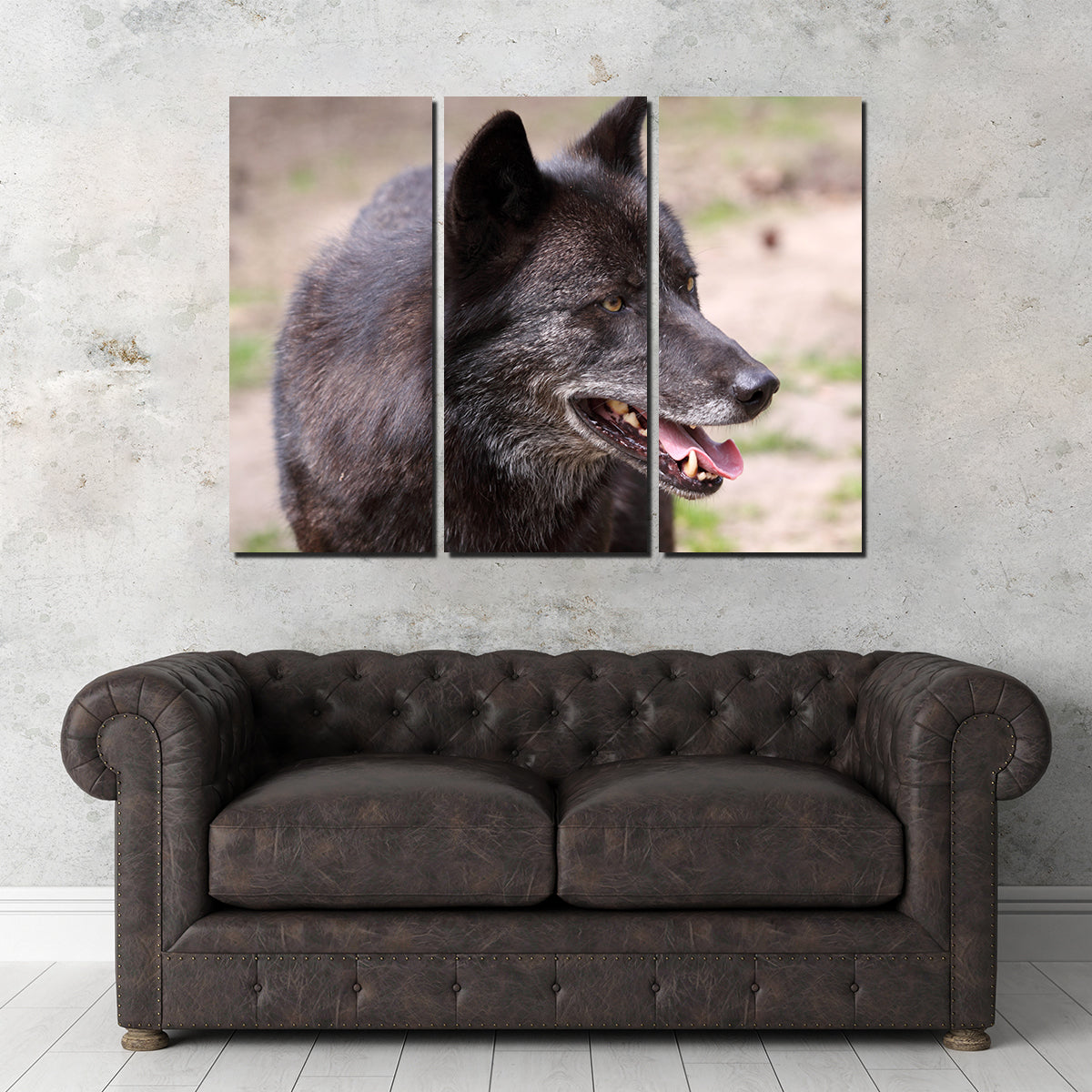 Older Black Wolf Wall Art