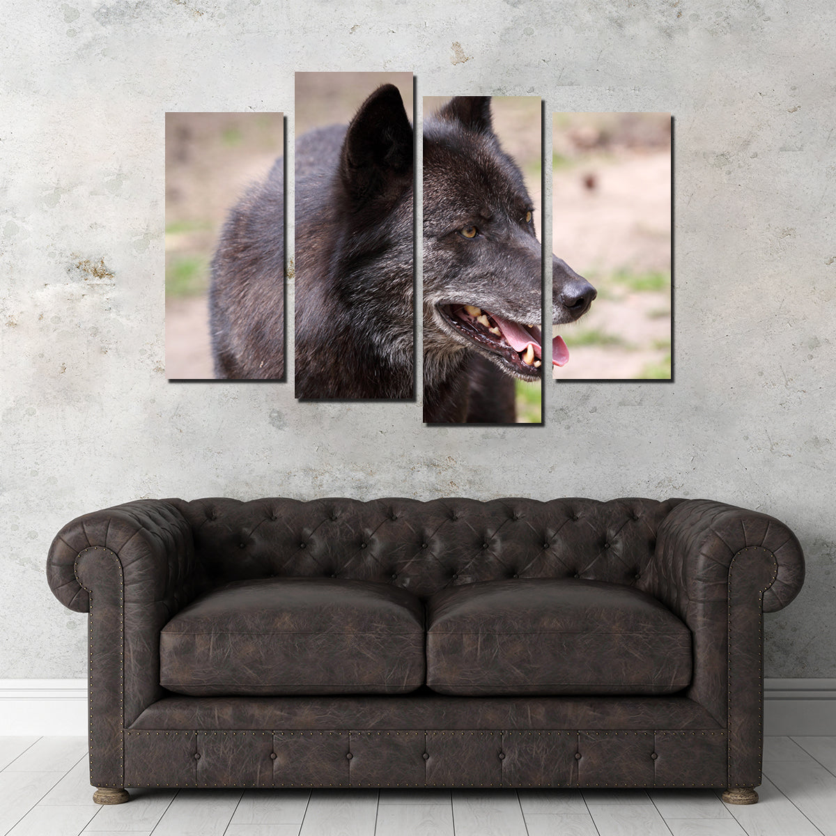 Older Black Wolf Wall Art