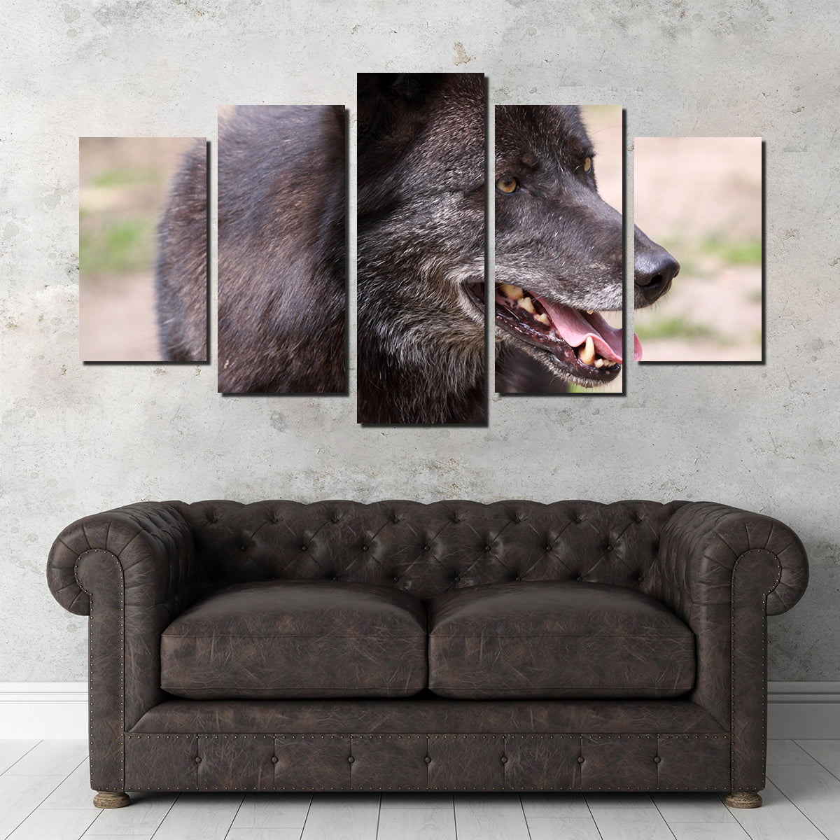 Older Black Wolf Wall Art