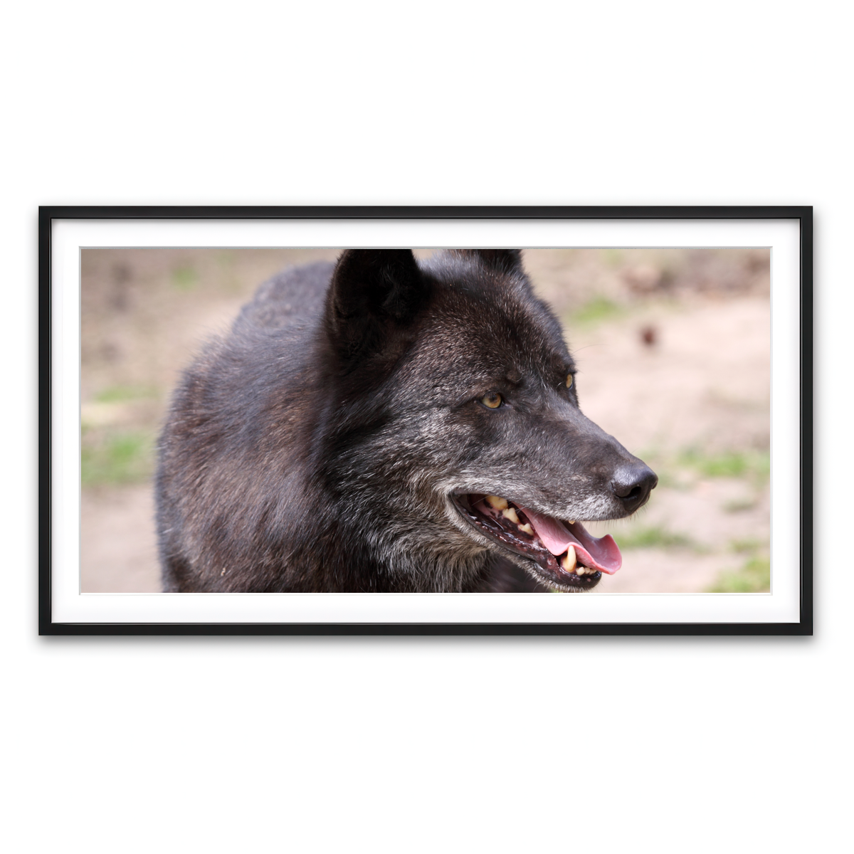 Framed Print 2x1 Black