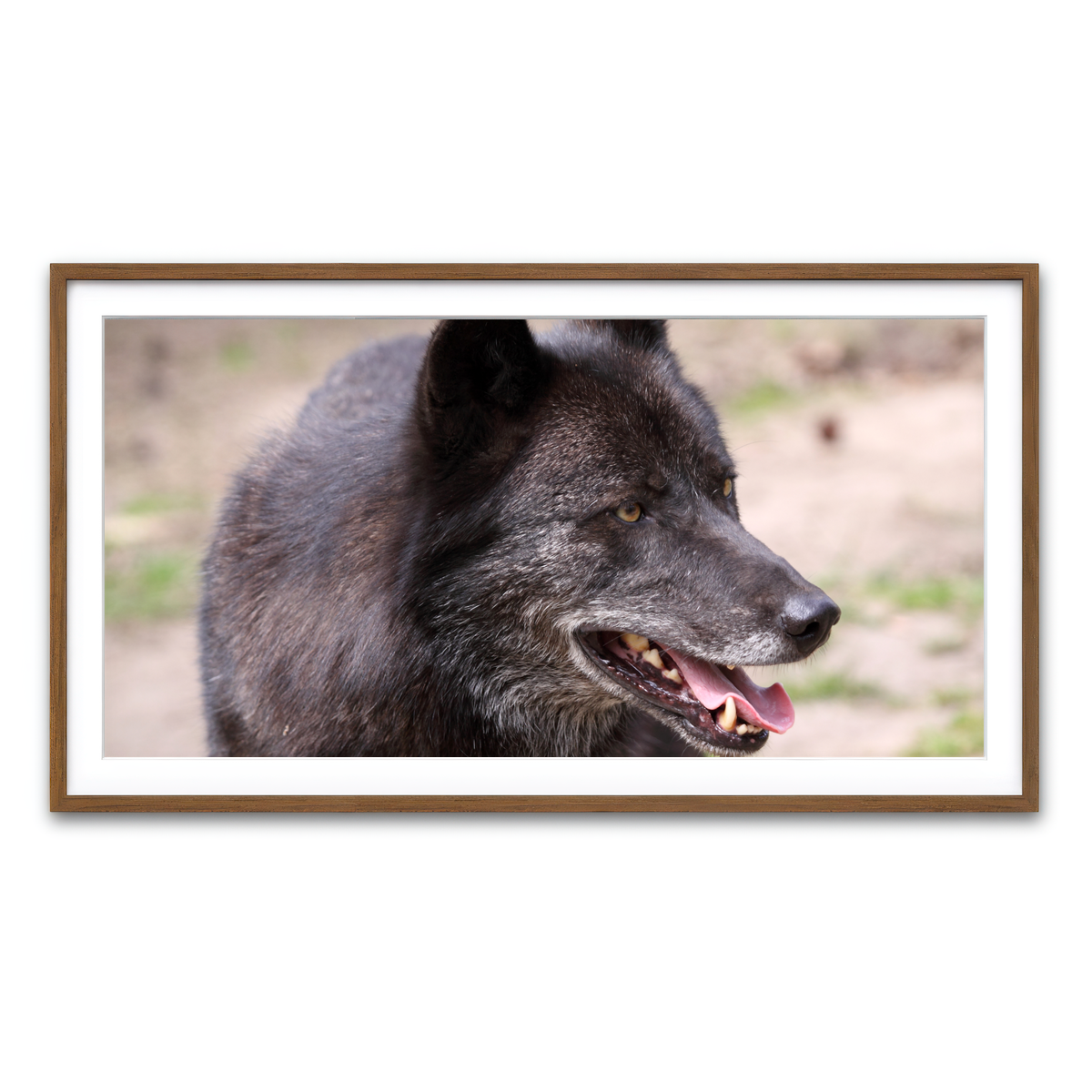 Framed Print 2x1 Walnut