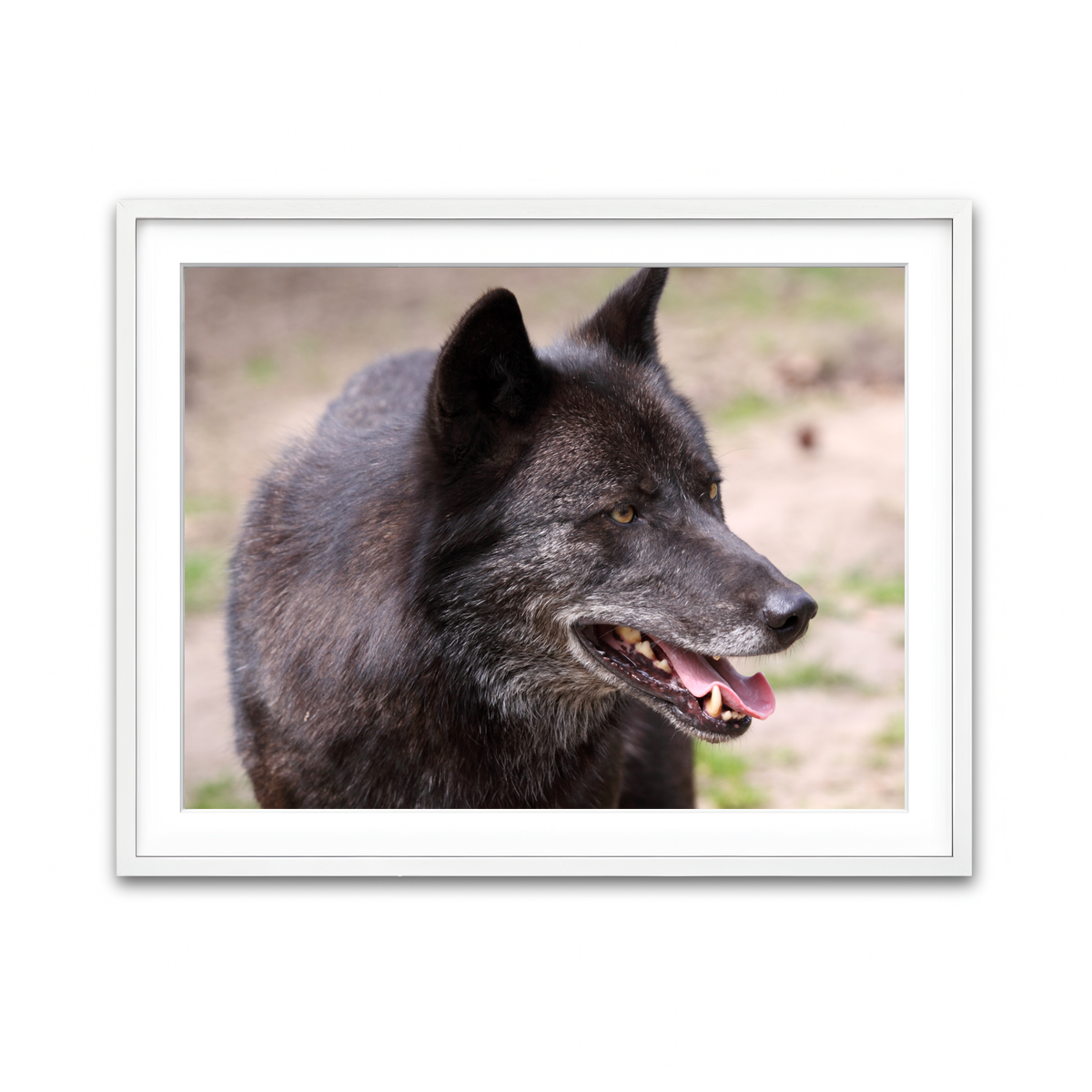 Framed Print 4x3 White