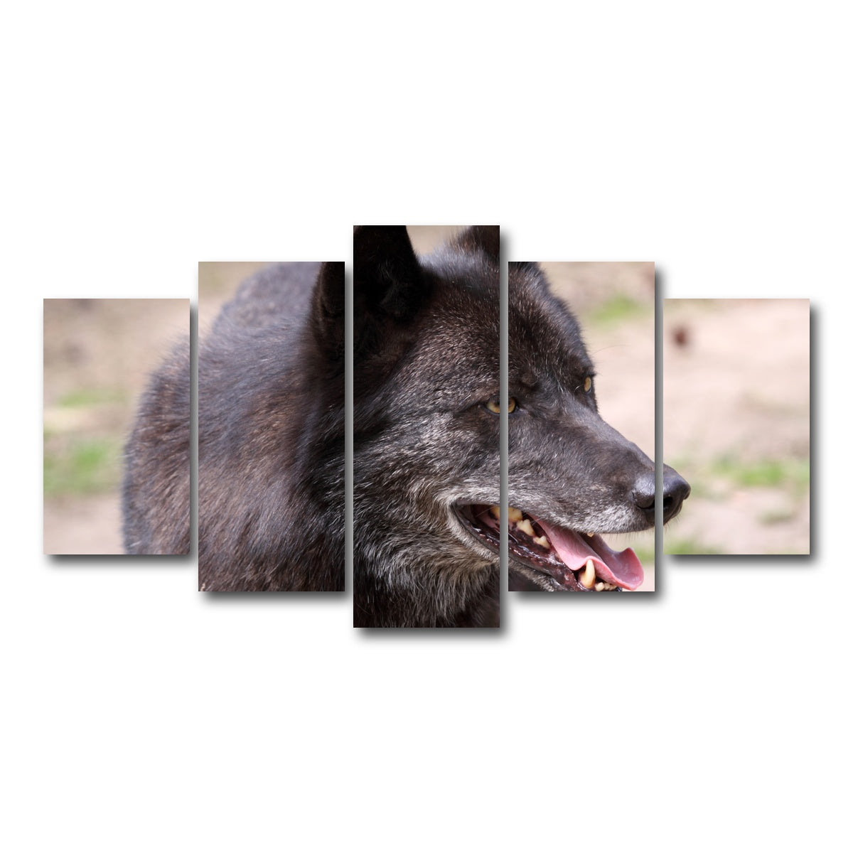 AUTO-MOCKUP WHITE | Older Black Wolf | 5 Piece | Gallery Wrap Canvas | group=5_normal