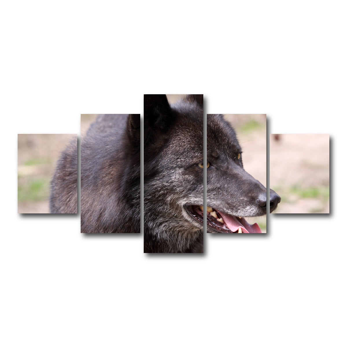AUTO-MOCKUP WHITE | Older Black Wolf | 5 Piece | Gallery Wrap Canvas | group=5_short