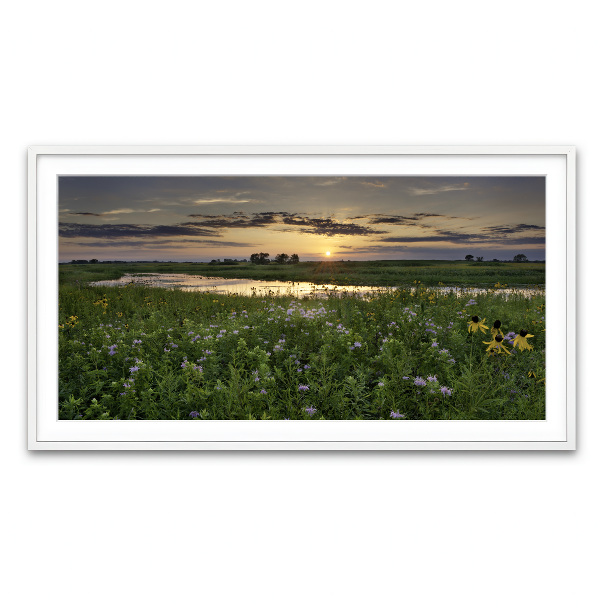 Framed Print 2x1 White