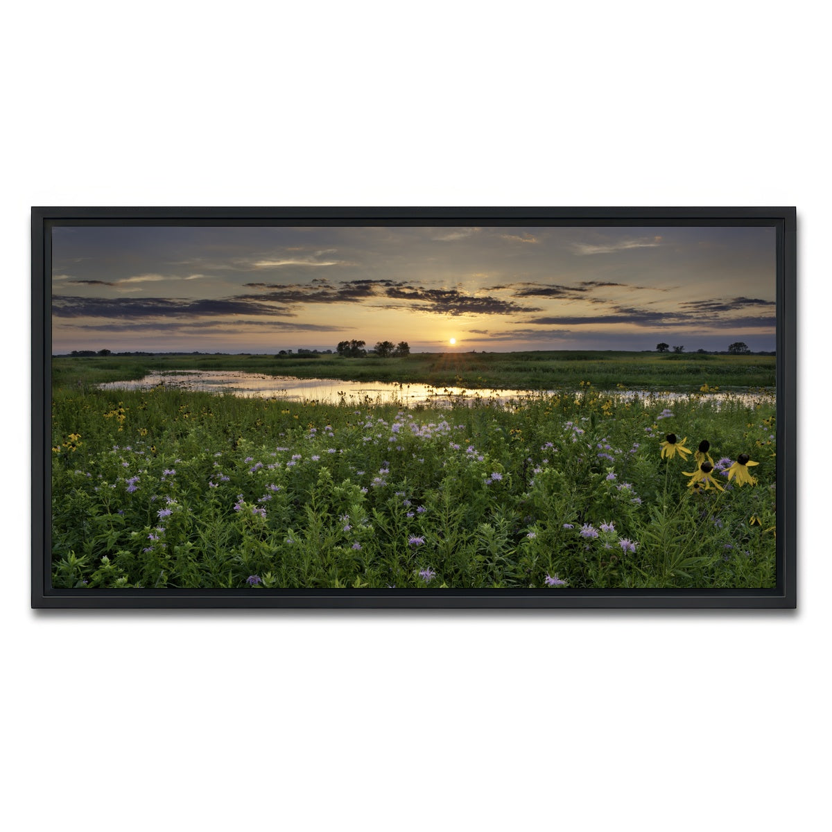 AUTO-MOCKUP WHITE | Open Field in Illinois | 1 Piece | Black Framed Canvas | group=2x1