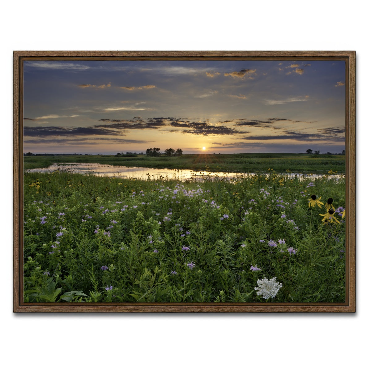 AUTO-MOCKUP WHITE | Open Field in Illinois | 1 Piece | Walnut Framed Canvas | group=4x3