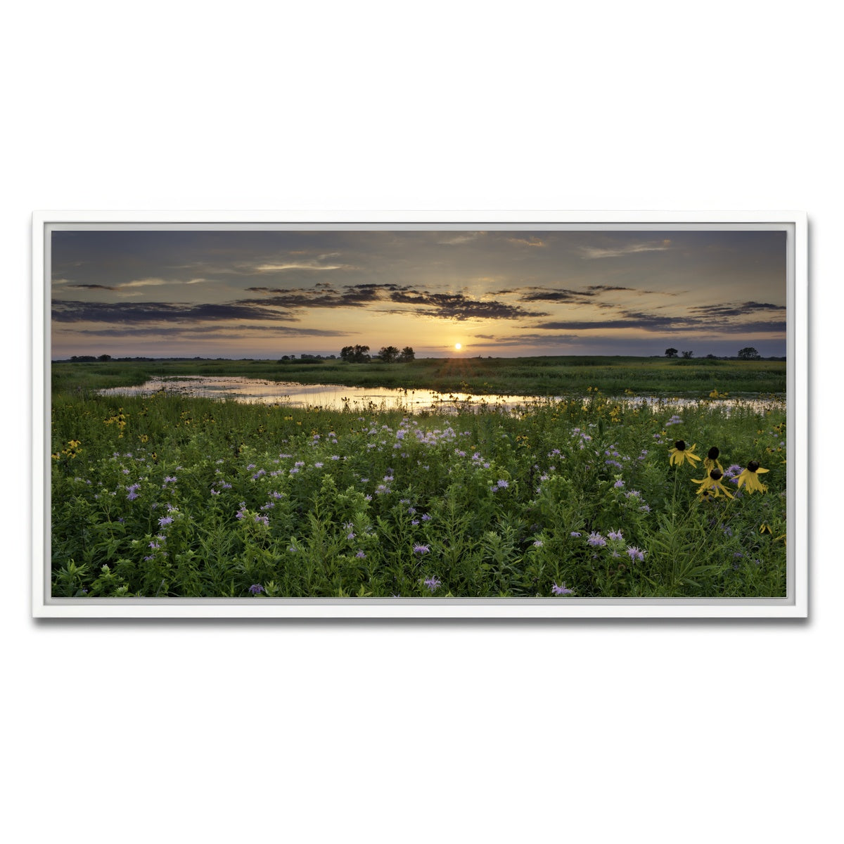 AUTO-MOCKUP WHITE | Open Field in Illinois | 1 Piece | White Framed Canvas | group=2x1